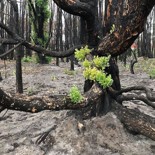 monsieurverde - фото 382888