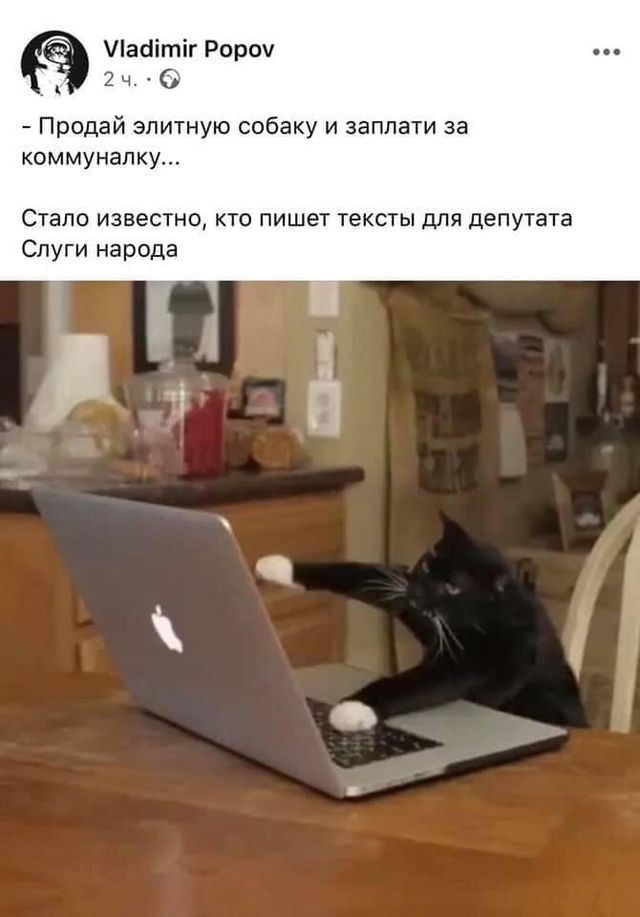'Продати елітного собаку і оплатити комуналку': реакція мережі у кумедних мемах - фото 383560