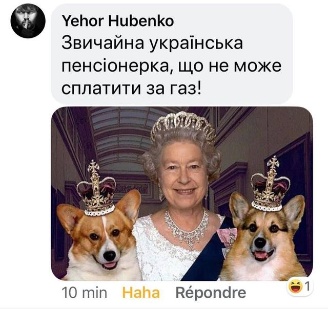 'Продати елітного собаку і оплатити комуналку': реакція мережі у кумедних мемах - фото 383561