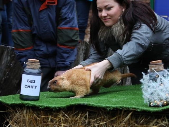 Прогноз бабака Тимка 2020: коли прийде весна - фото 383568