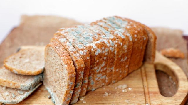 Чим небезпечна пліснява на продуктах: Супрун дала пояснення - фото 383673