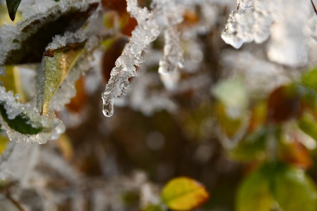 4 лютого 2020 – яке сьогодні свято: традиції, заборони і прикмети - фото 383680