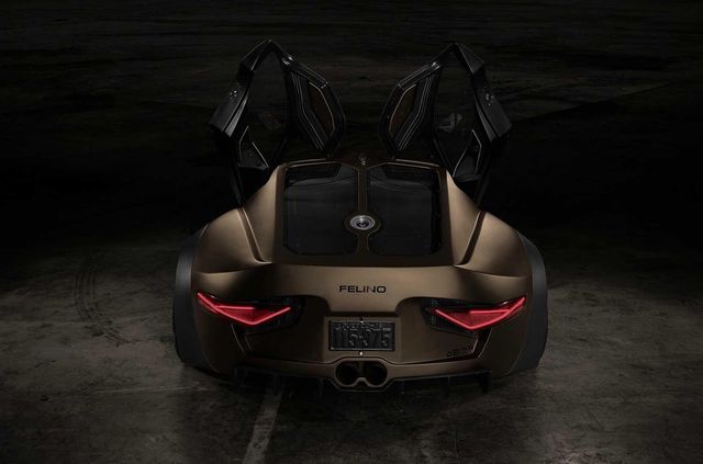 Канадська фірма побудувала суперкар з 7-літровим 'атмосферником' - фото 383867