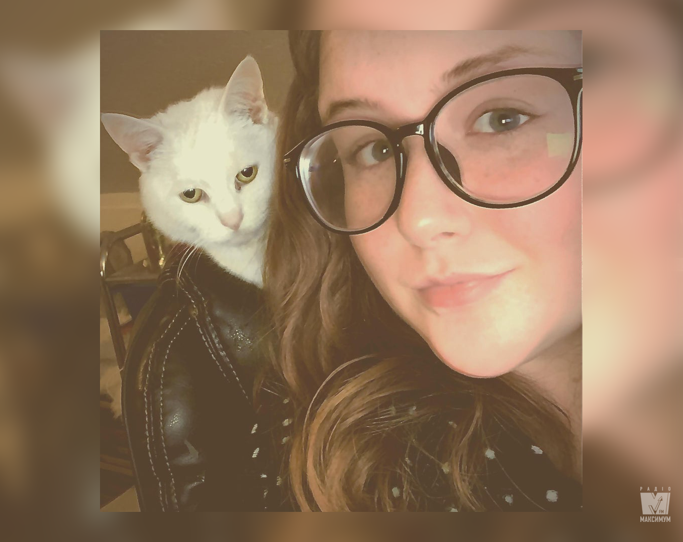 Кішка у куртці: користувачів мережі розвеселила нова оптична ілюзія