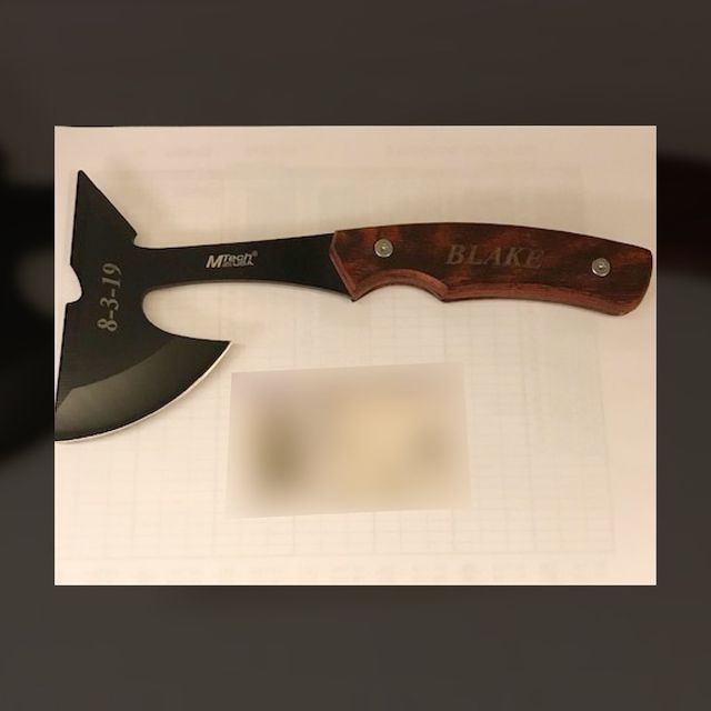 Рогатка та щітка-ніж: транспортна поліція США показує дивні речі пасажирів - фото 384015