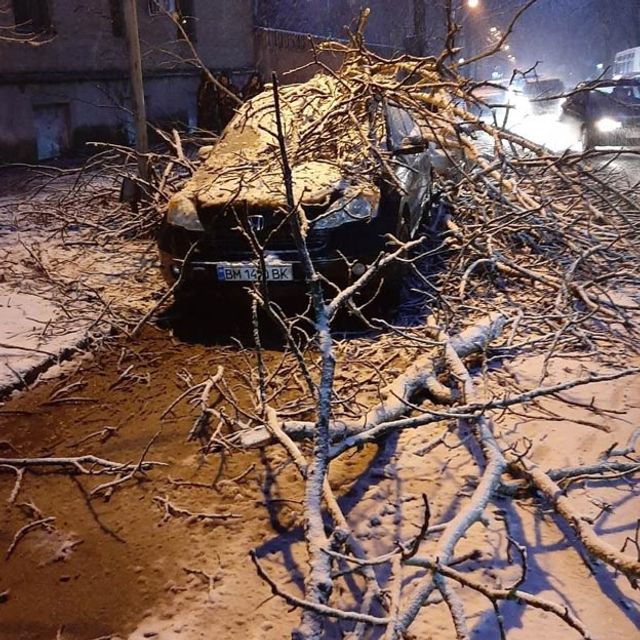 У мережі показали наслідки сніжної негоди в Україні - фото 384422