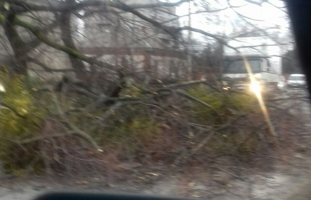 У мережі показали наслідки сніжної негоди в Україні - фото 384423