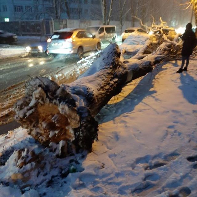 У мережі показали наслідки сніжної негоди в Україні - фото 384424