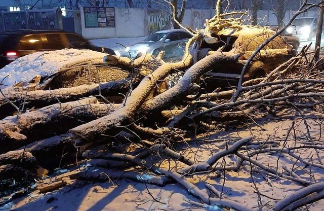 У мережі показали наслідки сніжної негоди в Україні - фото 384426