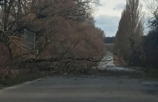 У мережі показали наслідки сніжної негоди в Україні - фото 384427