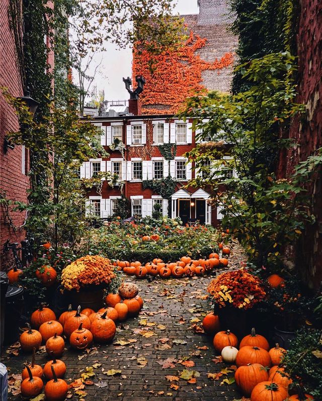 Блогер показує, чому варто мандрувати: яскраві фото - фото 384629