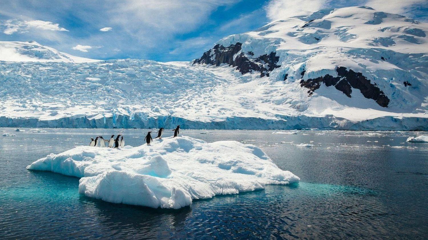 В Антарктиді зафіксували новий температурний рекорд