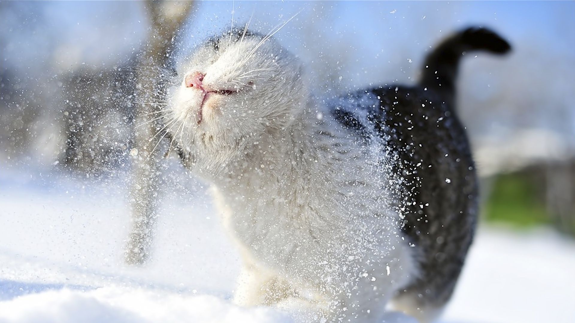 Мороз та хуртовини: українців попередили про погіршення погоди