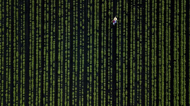 10 епічних фото із серії 'здалося', які доводять, що ваша фантазія безмежна - фото 385139