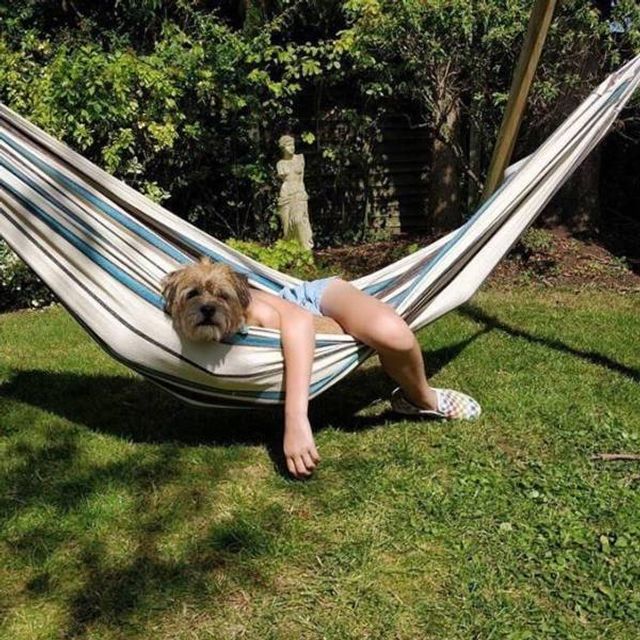 10 епічних фото із серії 'здалося', які доводять, що ваша фантазія безмежна - фото 385143