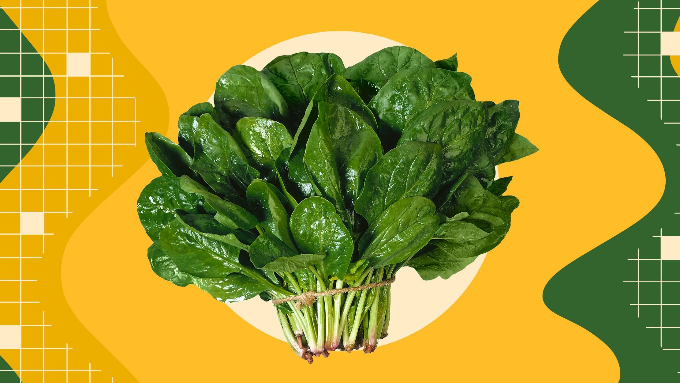 Вчені з'ясували, що допомагає уповільнити старіння мозку