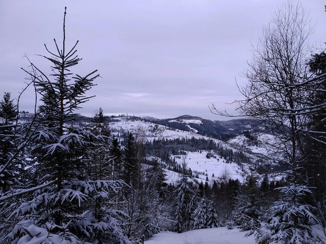 Карпатську зиму в яскравих знімках показали у мережі - фото 385200