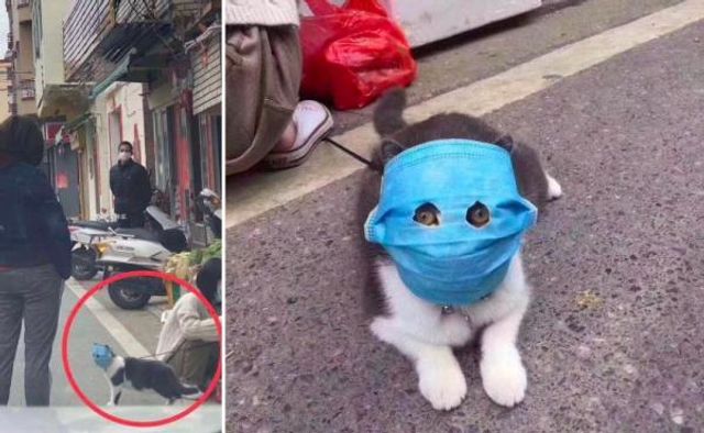 weibo - фото 385305