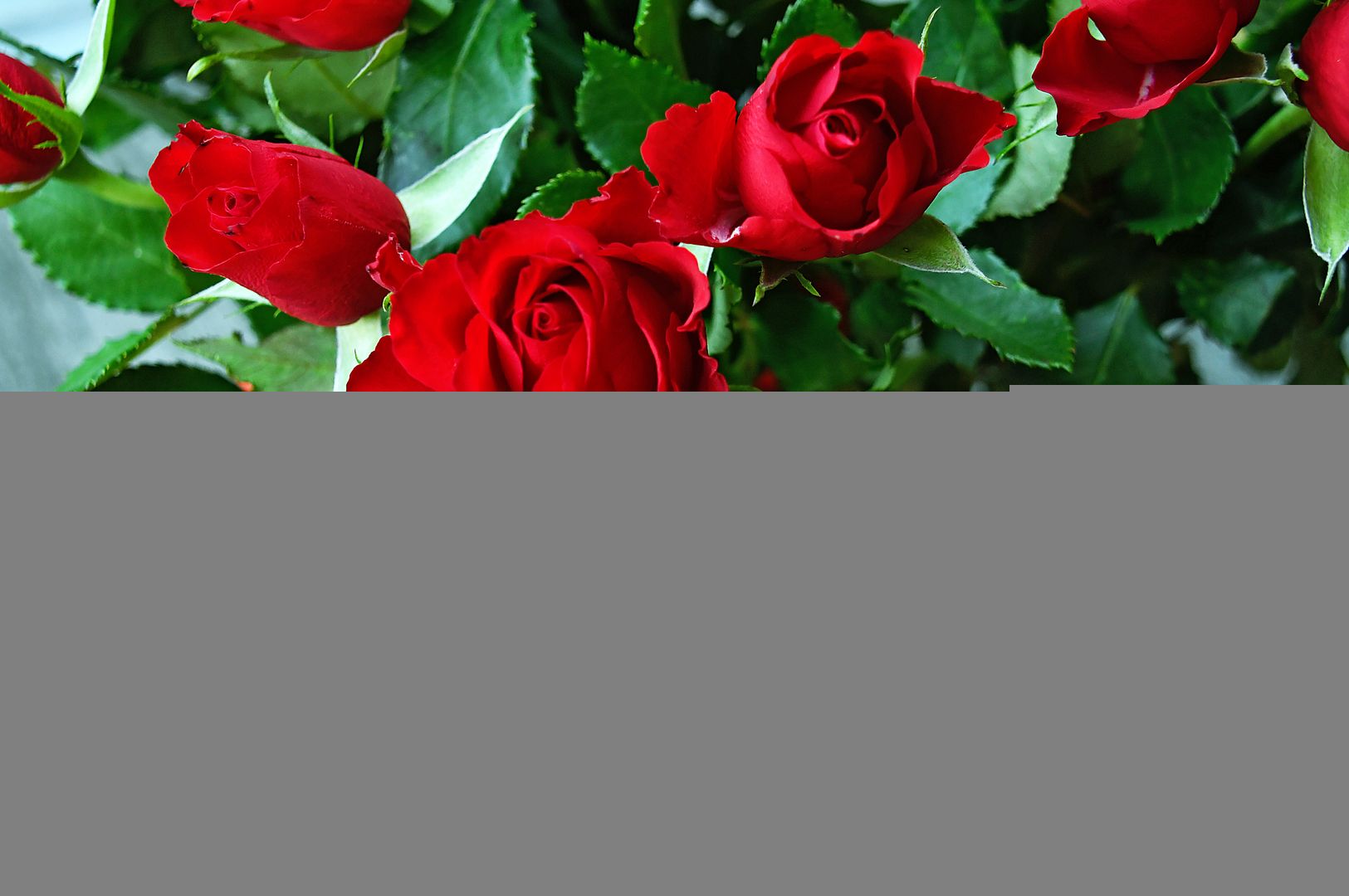 Прогноз на сьогодні - фото 1