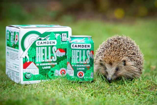 Сонік би плакав: у Лондоні встановлюють паби для їжаків - фото 386160