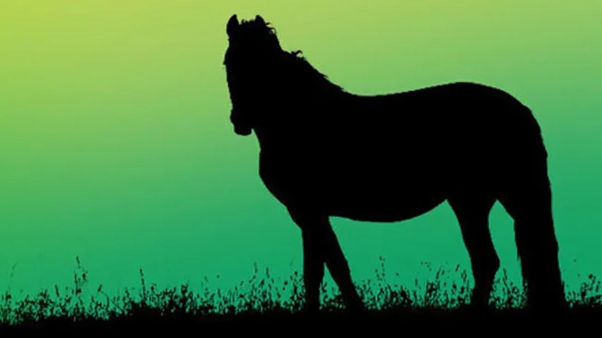 В який бік дивиться кінь? Дізнаєтеся про свій тип мислення