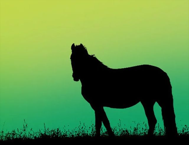 В який бік дивиться кінь? Дізнаєтеся про свій тип мислення - фото 386267