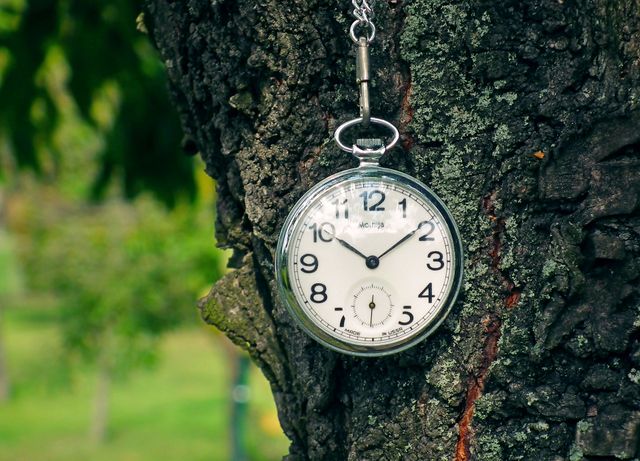 Перехід на літній час 2020: коли переводять годинник в Україні - фото 386551