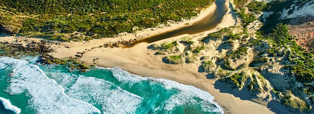 Названо найкращі напрямки винного туризму у 2020 році - фото 386844