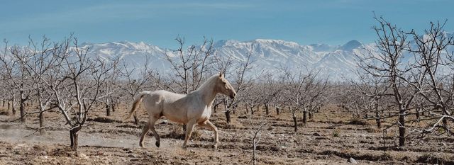 Названо найкращі напрямки винного туризму у 2020 році - фото 386845
