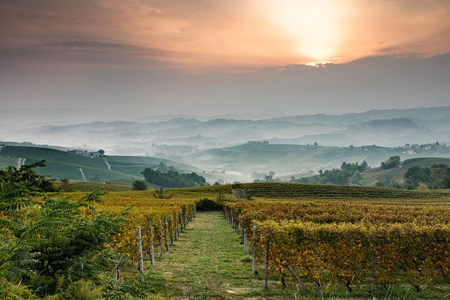 Названо найкращі напрямки винного туризму у 2020 році - фото 386847