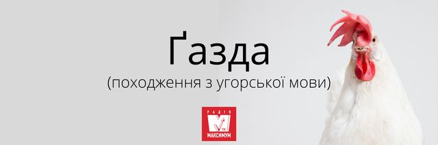 10 звичних слів, які насправді не є українськими - фото 387352