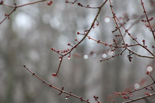 1 березня 2020 – яке сьогодні свято: традиції, заборони і прикмети - фото 387366