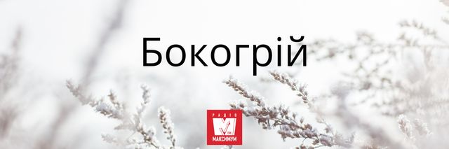 10 наймилозвучніших слів в українській мові, які ми рідко вживаємо - фото 387410
