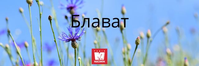 10 наймилозвучніших слів в українській мові, які ми рідко вживаємо - фото 387413