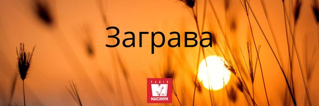 10 наймилозвучніших слів в українській мові, які ми рідко вживаємо - фото 387414