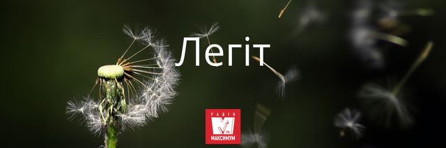 10 наймилозвучніших слів в українській мові, які ми рідко вживаємо - фото 387415