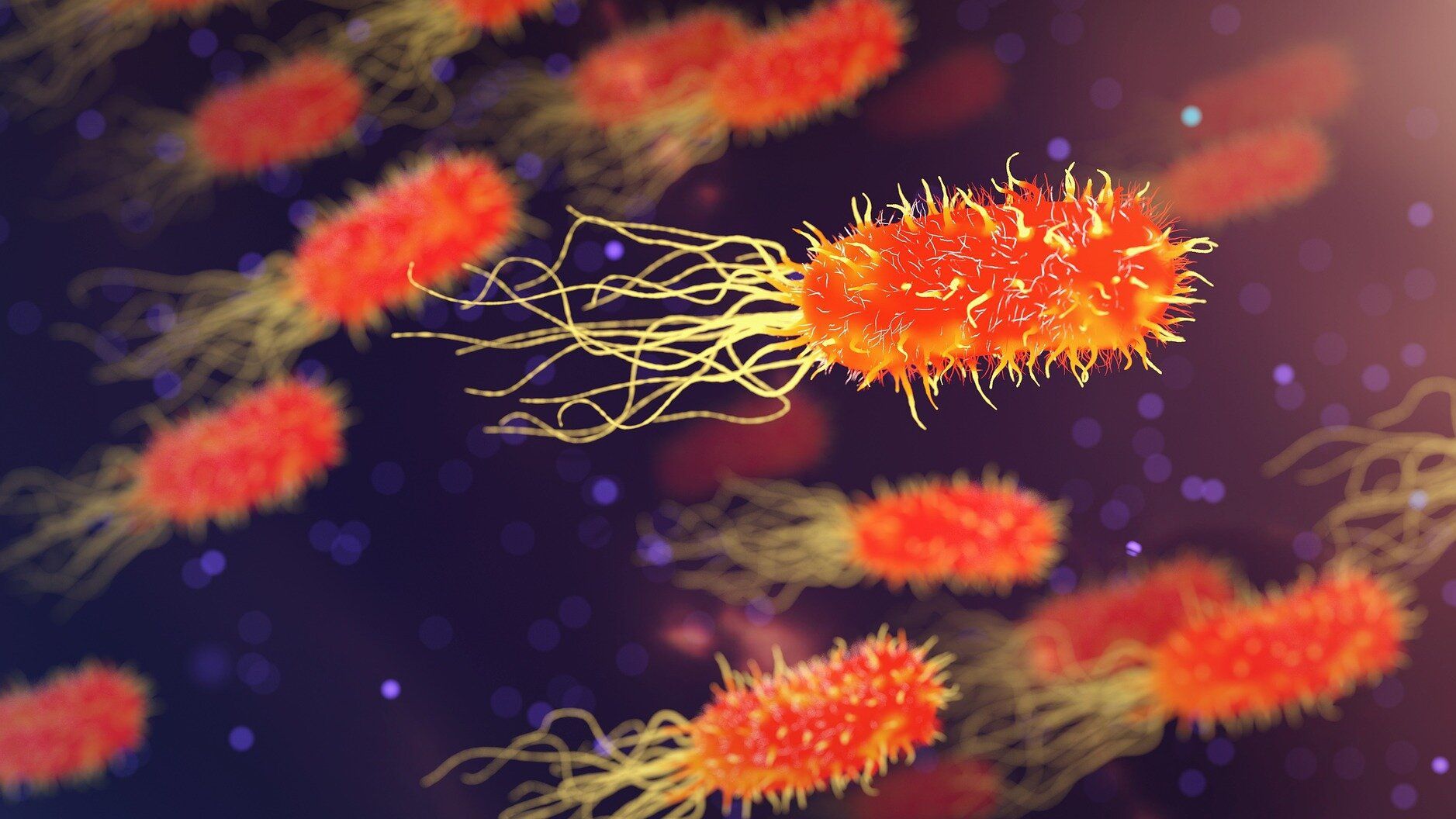 У Китаї запустили гру про коронавірус - фото 1