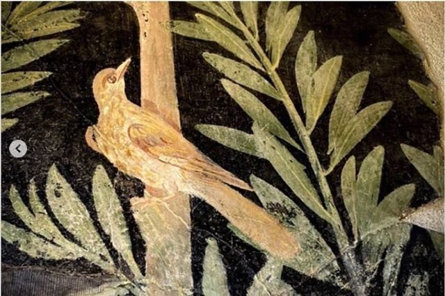 У Помпеях відкрили для туристів три унікальні будинки - фото 387557