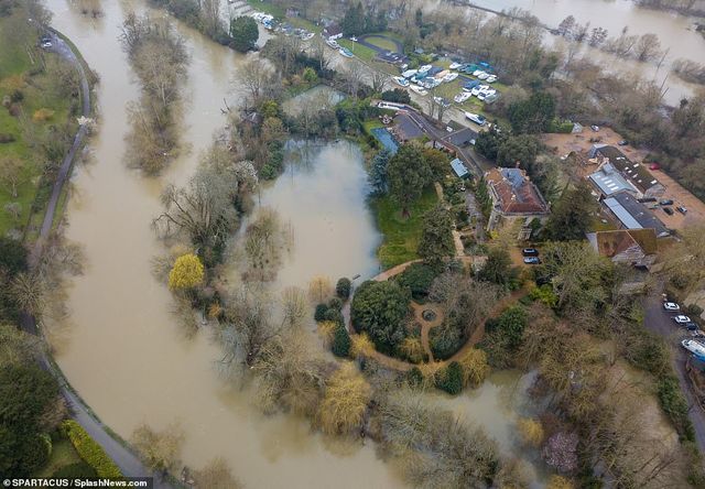 Багатомільйонний особняк Джорджа Клуні затопило: фотопорівняння - фото 387975