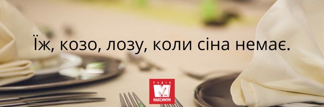10 суто українських приказок, які ви говорите неправильно - фото 388091
