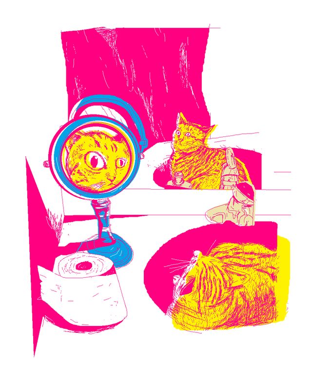 Розгублені коти, які дивляться на себе в дзеркало, стали зірками мережі: кумедні фото - фото 388110