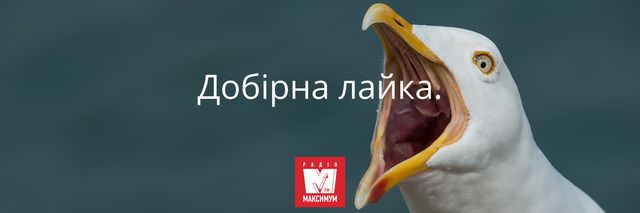 10 українських фраз, які замінять поширені кальки у вашому мовленні - фото 388251