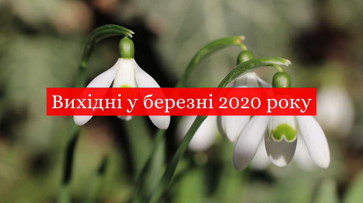 Вихідні і свята у березні 2020: календар робочих і вихідних днів в Україні