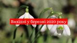 Вихідні і свята у березні 2020: календар робочих і вихідних днів в Україні