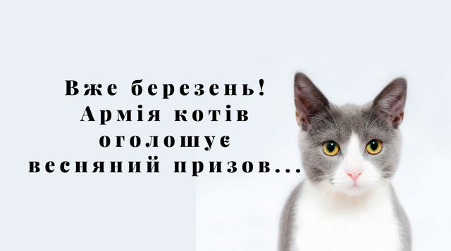 Картинки з першим днем весни: листівки і відкритки на 1 березня - фото 388480