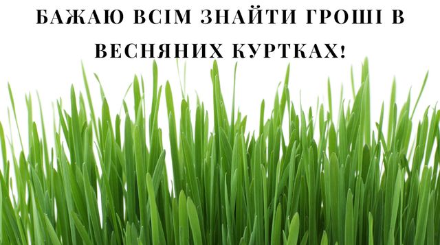 Картинки з першим днем весни: листівки і відкритки на 1 березня - фото 388482
