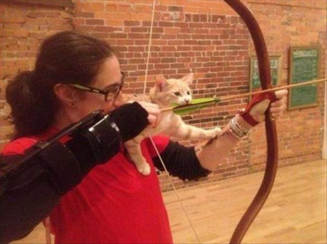 Це моє місце: фото нахабних котів, які заважають господарям - фото 388541