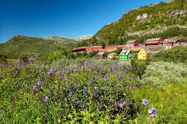 Яскраві фото Норвегії, які надихають на мандри - фото 388593