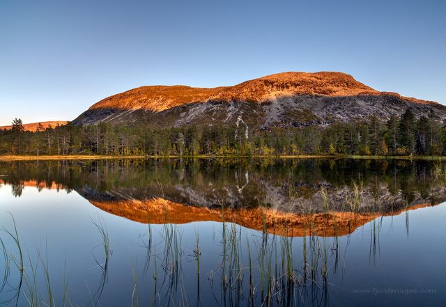 Яскраві фото Норвегії, які надихають на мандри - фото 388596