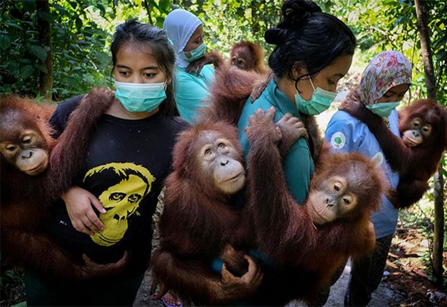 Фотографії, що вражають: названі фіналісти World Press Photo 2020 - фото 388619